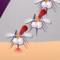  Kill Mosquito
