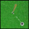  Amazing  Golf
