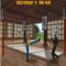  Bushido  Fighters