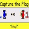  Capture  The  Flag