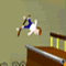  Pro  Skater