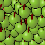  Apples