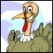       Catch the Turkey