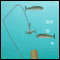  Shoot Fish