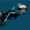     Pearl Diver