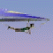  Canyon Glider