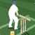  Cricket Challenge