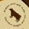  Brown Cow Curling